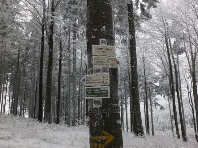 Pohádkovým lesem do Rožnova.