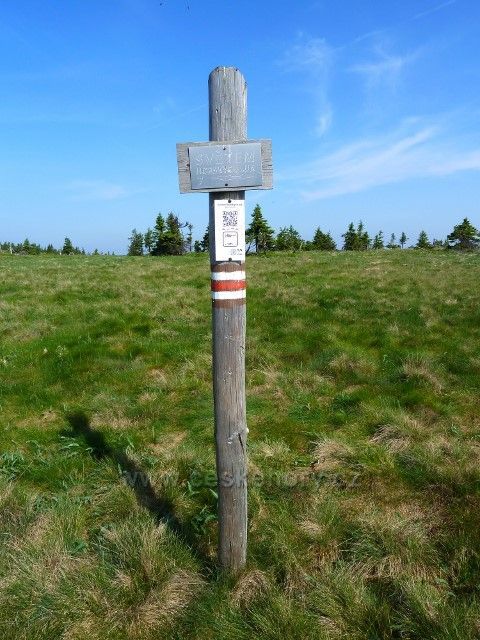 Tabulka na hřebenovce na Jelení studánku označující 7.stanoviště pásma horských luk - boj o přežití