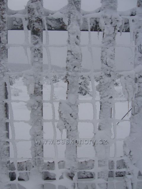 Krušné Hory Flájská obora