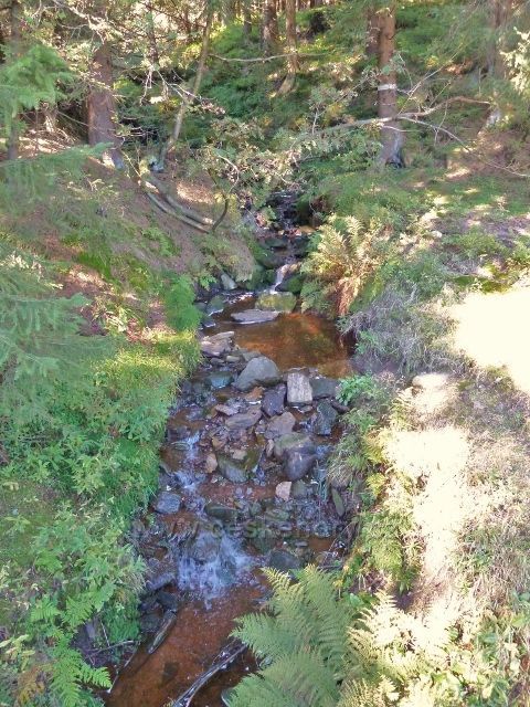 Čertovodolský potok u lovecké chaty  pod Korunou