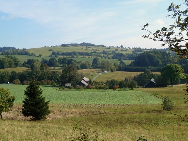 Pastviny - pohled k Vlčkovicím