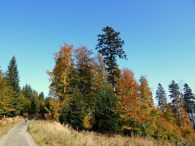 Horní Lipová - cyklostezka 6044 před horním lesním barem