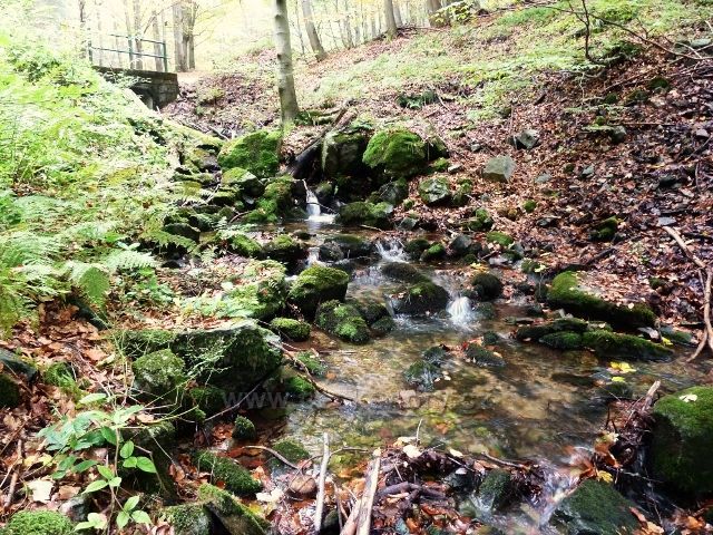 Horní Lipová - potok protékající Lesním barem se vlévá do Vápenného potoka