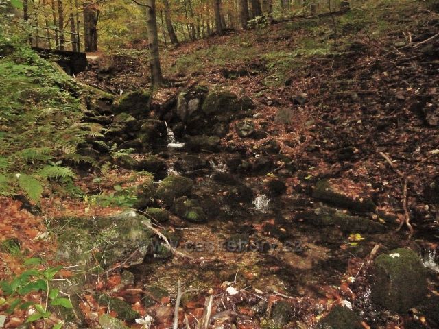Horní Lipová - potok pod Lesním barem je přítokem Vápenného potoka