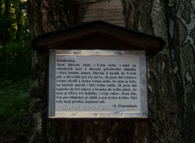 "Prosba lesa" u Rostislavova pramene nad Mladkovem