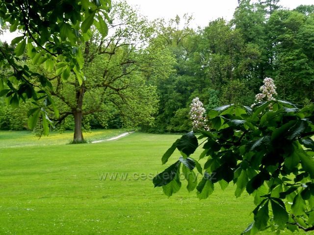 Žamberk - zámecký park