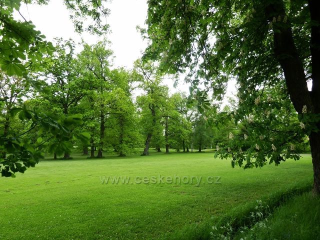 Žamberk - zámecký park
