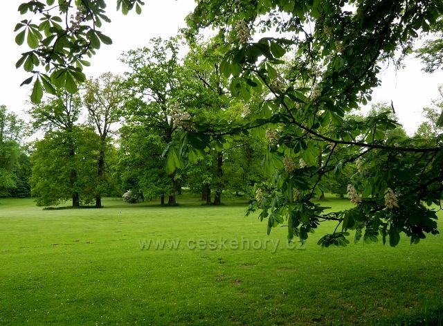 Žamberk - zámecký park