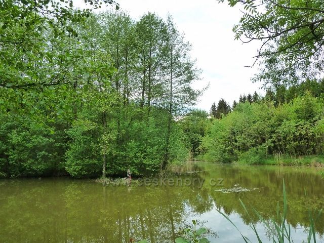 Helvíkovice - Dobešův rybník
