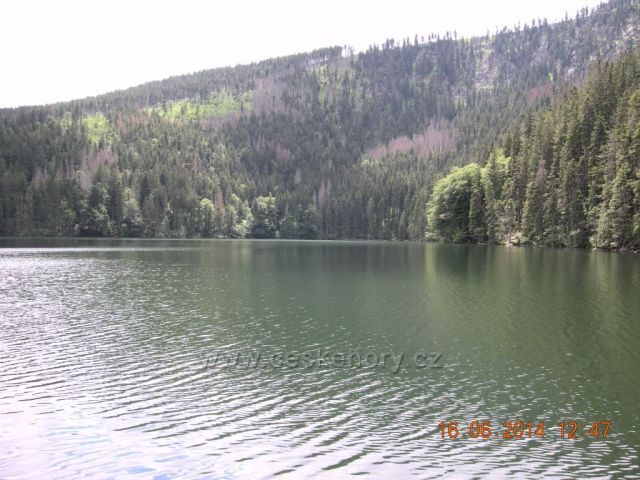Černé jezero na Šumavě