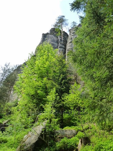 Teplické skály - skalní útvar v Anenském údolí