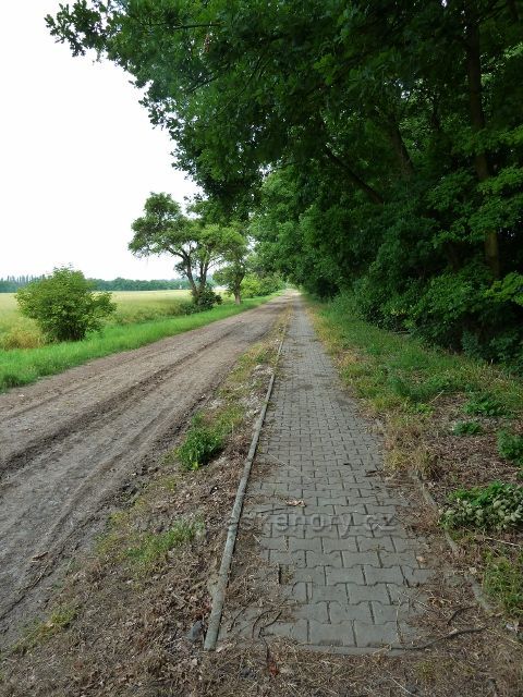 Slatina pod Hazmburkem - dlážděný chodník podél polní cesty od zastávky ČD do obce byl vybudován za finanční podpory EU