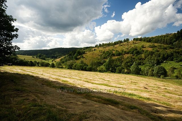 Údolí Moldavského potoka