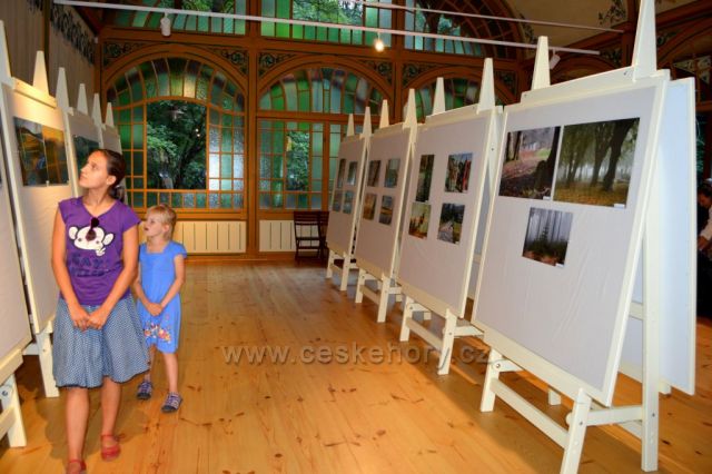 V sále byla instalována výstavka fotografií a obrazů