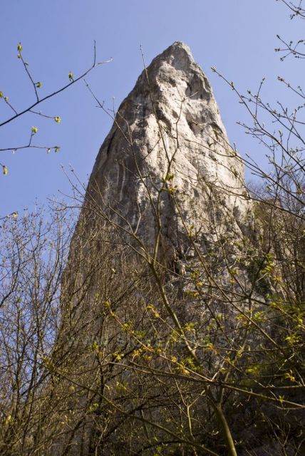 cukrova homola v zadieli-vychodne slovensko