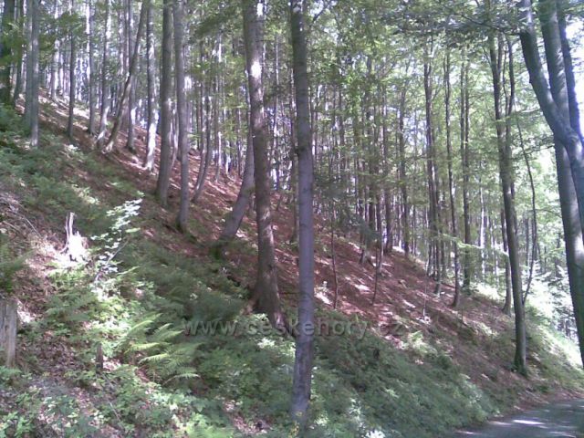 Mladějov na Moravě