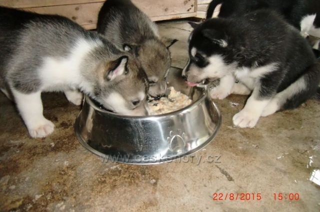 takhle chutná na horách