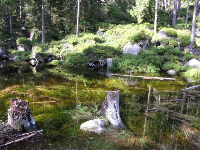 Cestou na Medvědín, Krkonoše