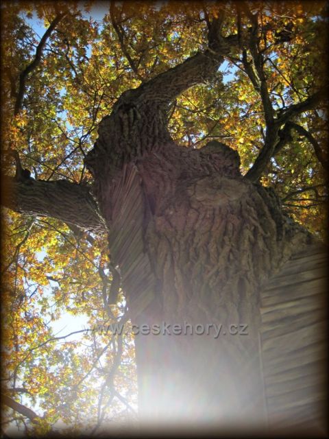 Podzim v Ratibořicích