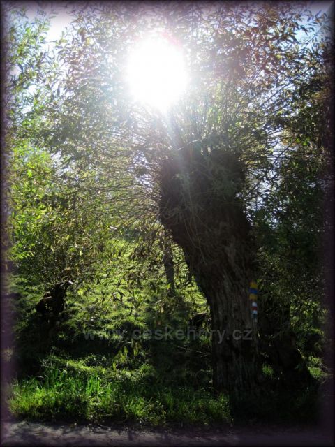 Podzim v Ratibořicích