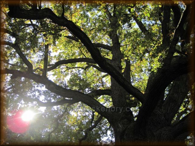 Podzim v Ratibořicích