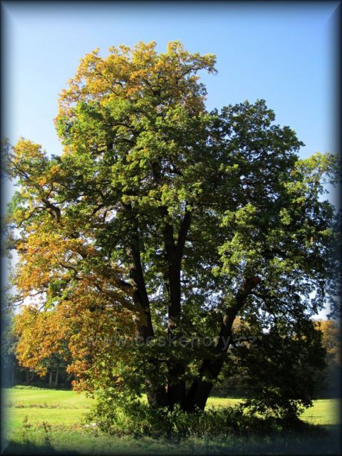 Podzim v Ratibořicích