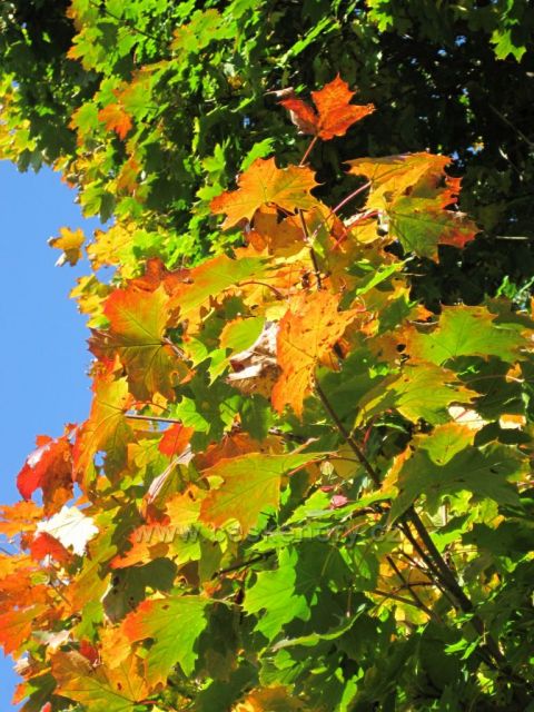 Podzim v Ratibořicích