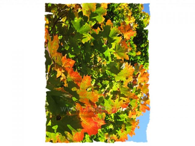 Podzim v Ratibořicích