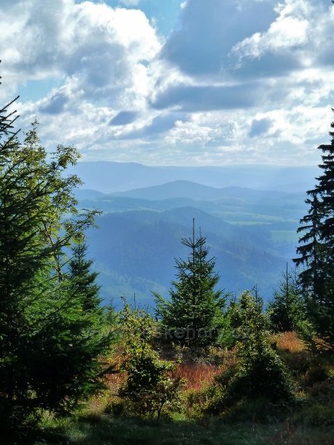 Buková hora - pohled z vrchu "Na Planiskách" k Hanušovické pahorkatině