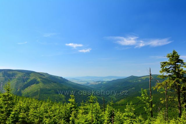 Pohled do údolí Dolní Moravy