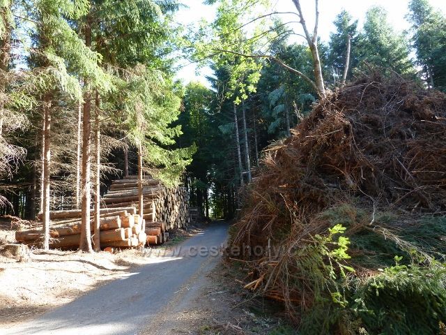 Bořitov - likvidace červencové lesní větrné kalamity 