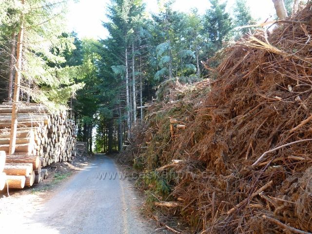 Bořitov - likvidace červencové větrné lesní kalamity