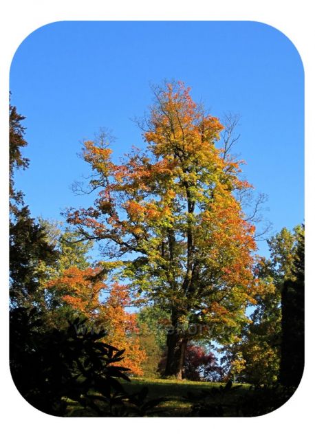 podzim v Ratibořicích