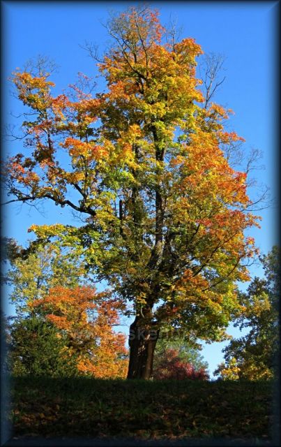podzim v Ratibořicích