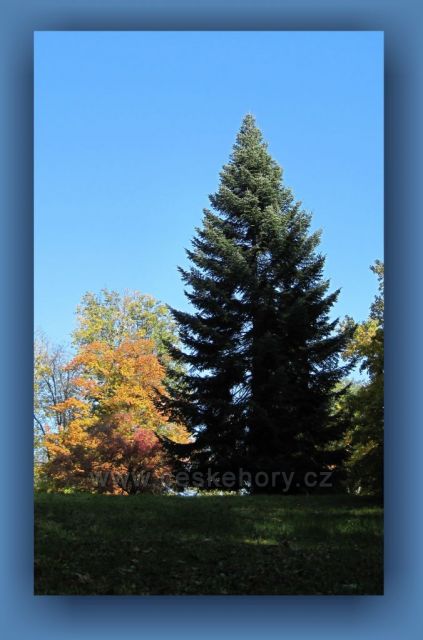 podzim v Ratibořicích