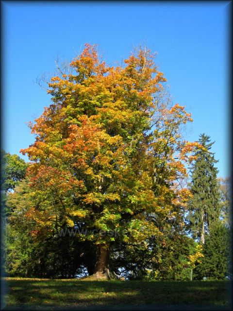 podzim v Ratibořicích