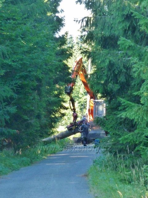 Dolní Morava - odebírání kalamitního dřeva přibližovaného lanovkou v lokalitě Nad Sršňovkou