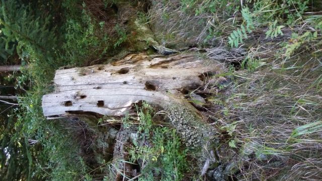 Krása Krušných hor.