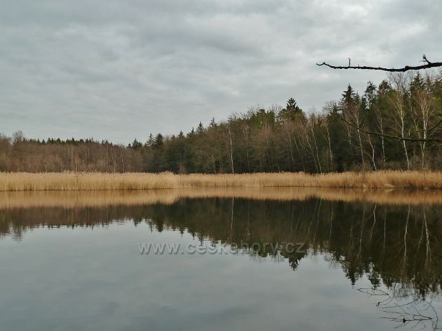 Třebechovice pod Orebem - Hlinský rybník