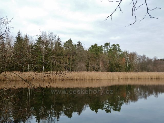 Třebechovice pod Ore bem - Hlinský rybník u silničky z Týniště n.Orlicí do Třebechovic p.Orebem