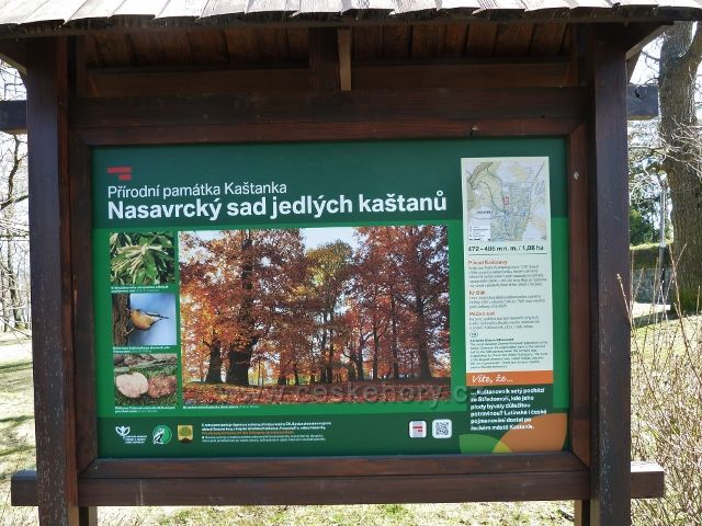 Nasavrky - informační tabule u přírodní památky Kaštánka