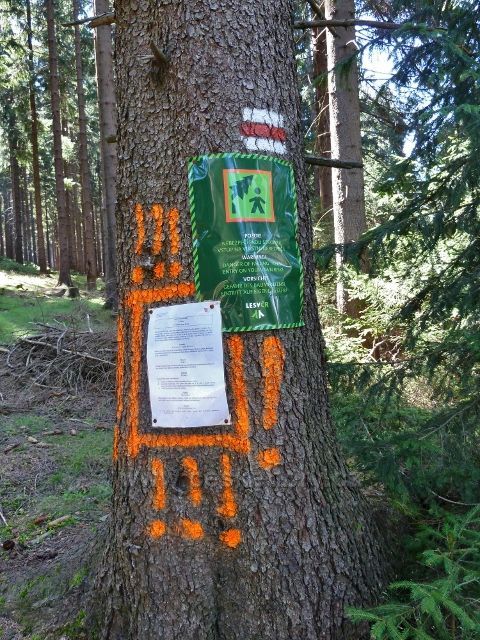 Zákaz vstupu do lesa v oblasti větrných polomů nad Mladkovem cestou po červené TZ