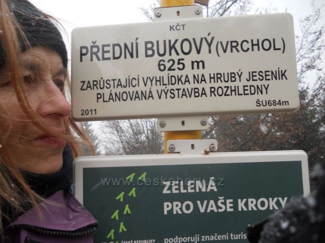 v 2012 na vrcholu Předního Bukového, v 2016 stále rozhledna není