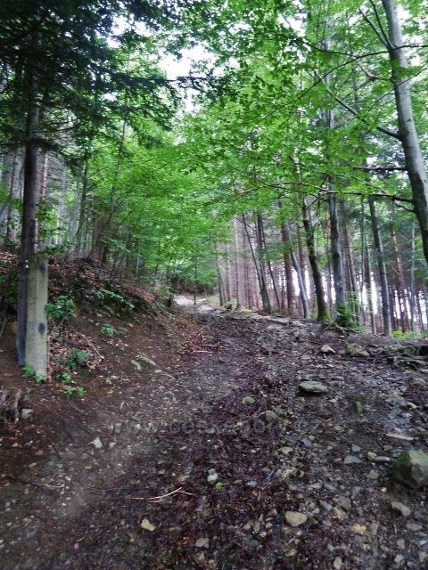 Nýdek - strmá cesta vzhůru nad rozcestím Dziol