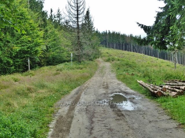 Nýdek - cesta od chaty Čantoryja k rozhledně a vrcholu Velké Čantoryje vede podél státní hranice s Polskem