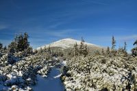 Sněžka od Růžové hory,Krkonoše