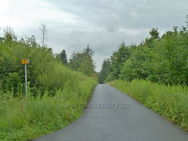 Kozinec - cesta po modré TZ Borkem k Malému Kozinci kolmo křižuje cyklostezku 56 z Milíkova do Oldřichovic