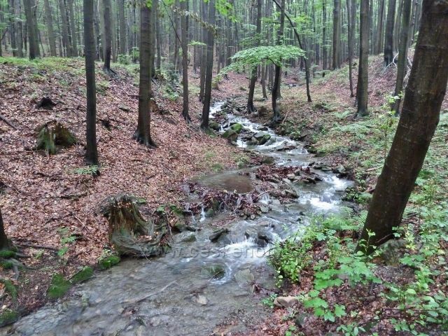 Kozinec - horský potok Liderov