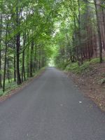 Kozinec - prudce klesající silnička  od chaty Kozinec k Oldřichovicím