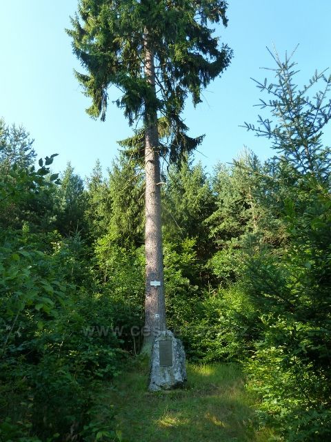 Bílovice n.S. - Liduščin památník pod "prvním" stromem republiky